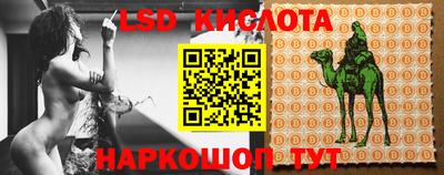 прущие грибы Краснокаменск