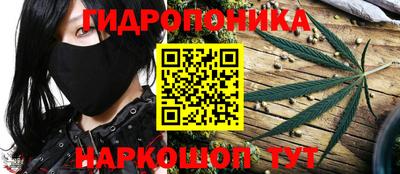 прущие грибы Краснокаменск