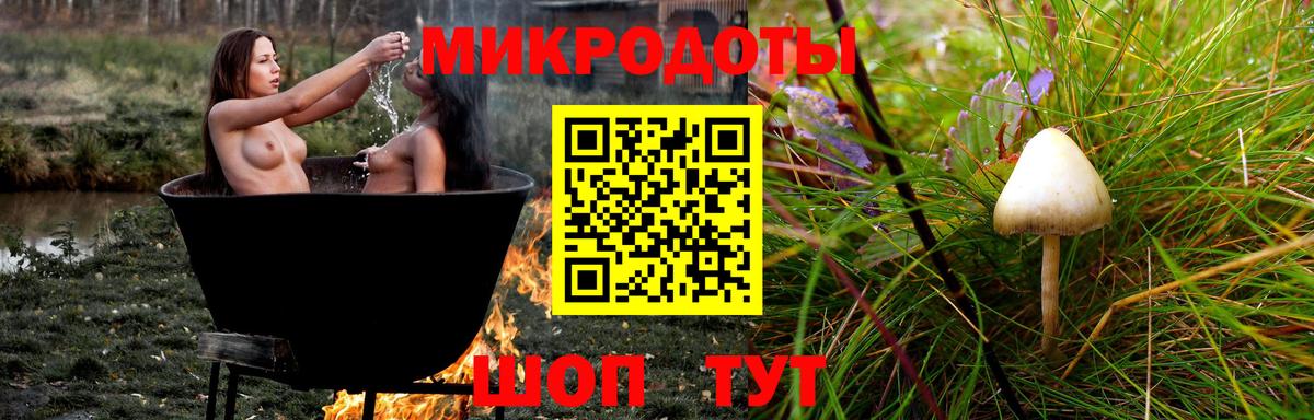 Губкин  Псилоцибиновые грибы ЛСД  Вход с VPN  Псилоцибиновые грибы мухоморы 