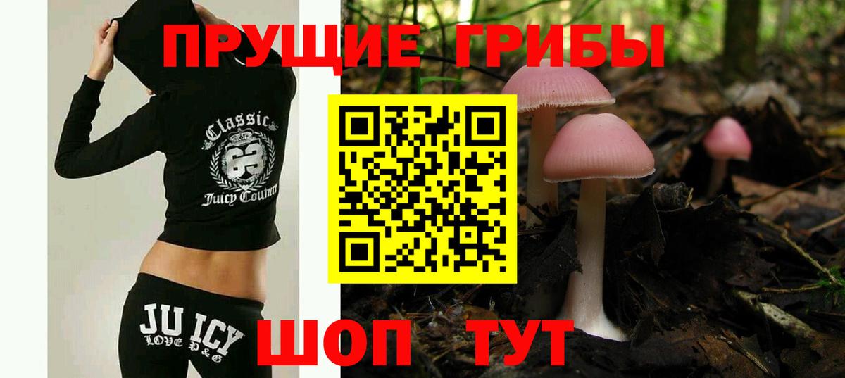 Псилоцибиновые грибы мицелий Губкин